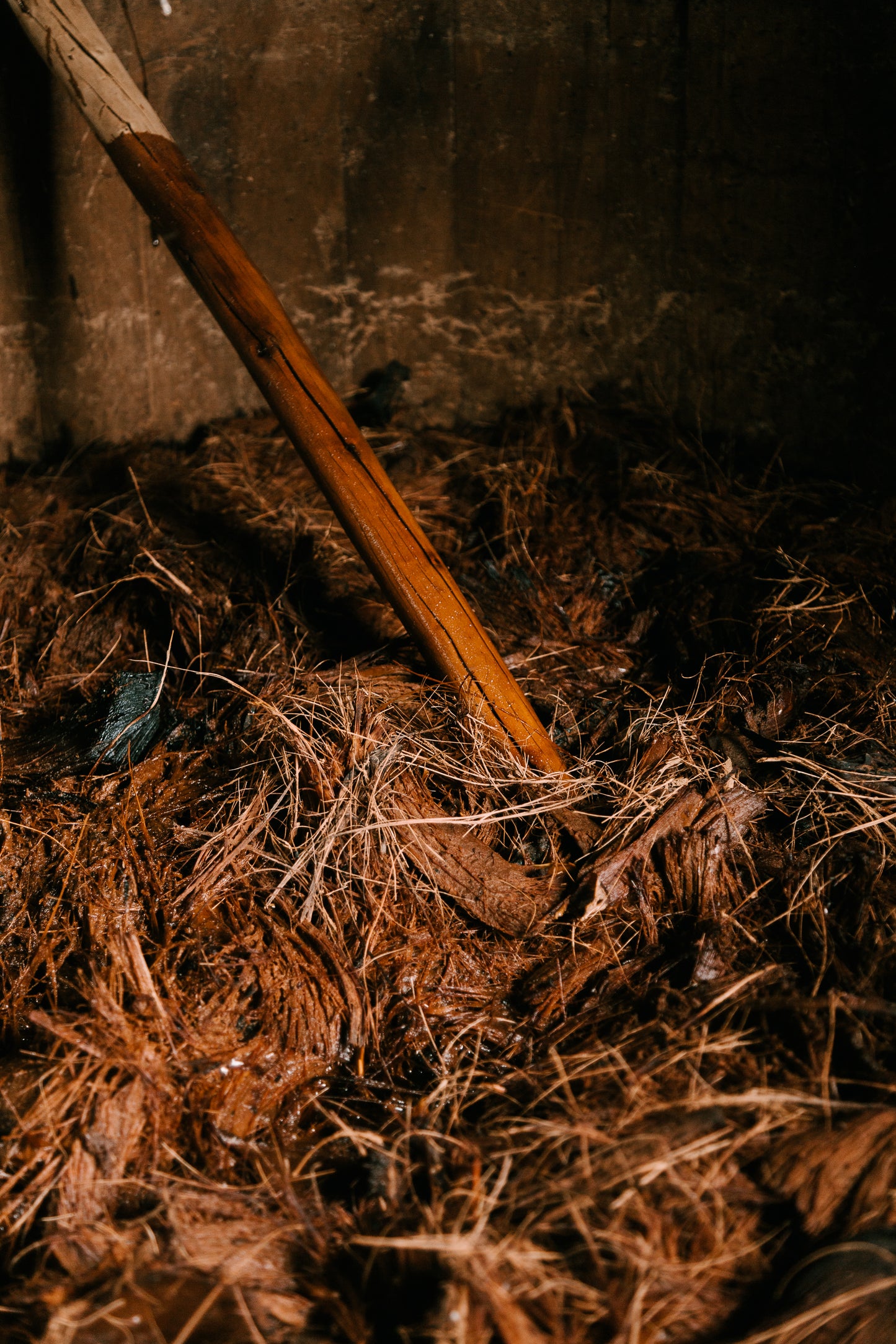 ESPÍRITU LAURO - SILVESTRE TOBALA MEZCAL